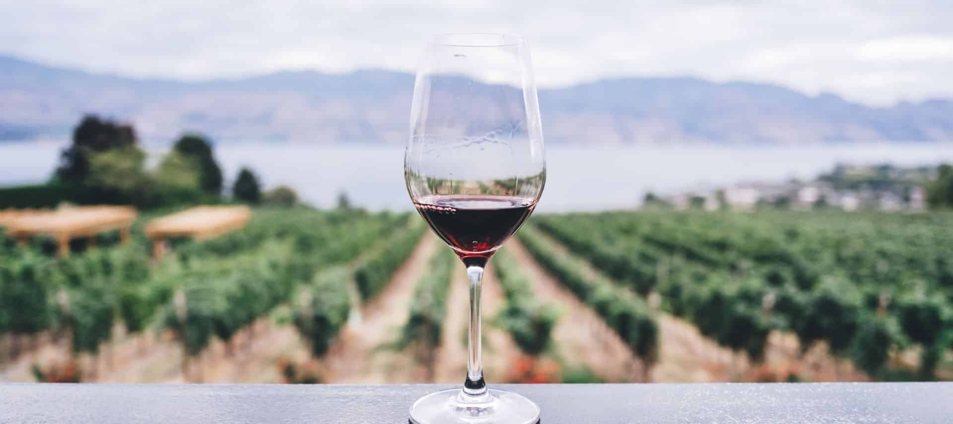 A glass of red wine sits on a ledge with a vineyard and ocean and hills in the background