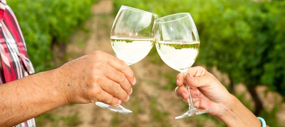 Two people hold glasses of white wine and cheers outside in the vineyard