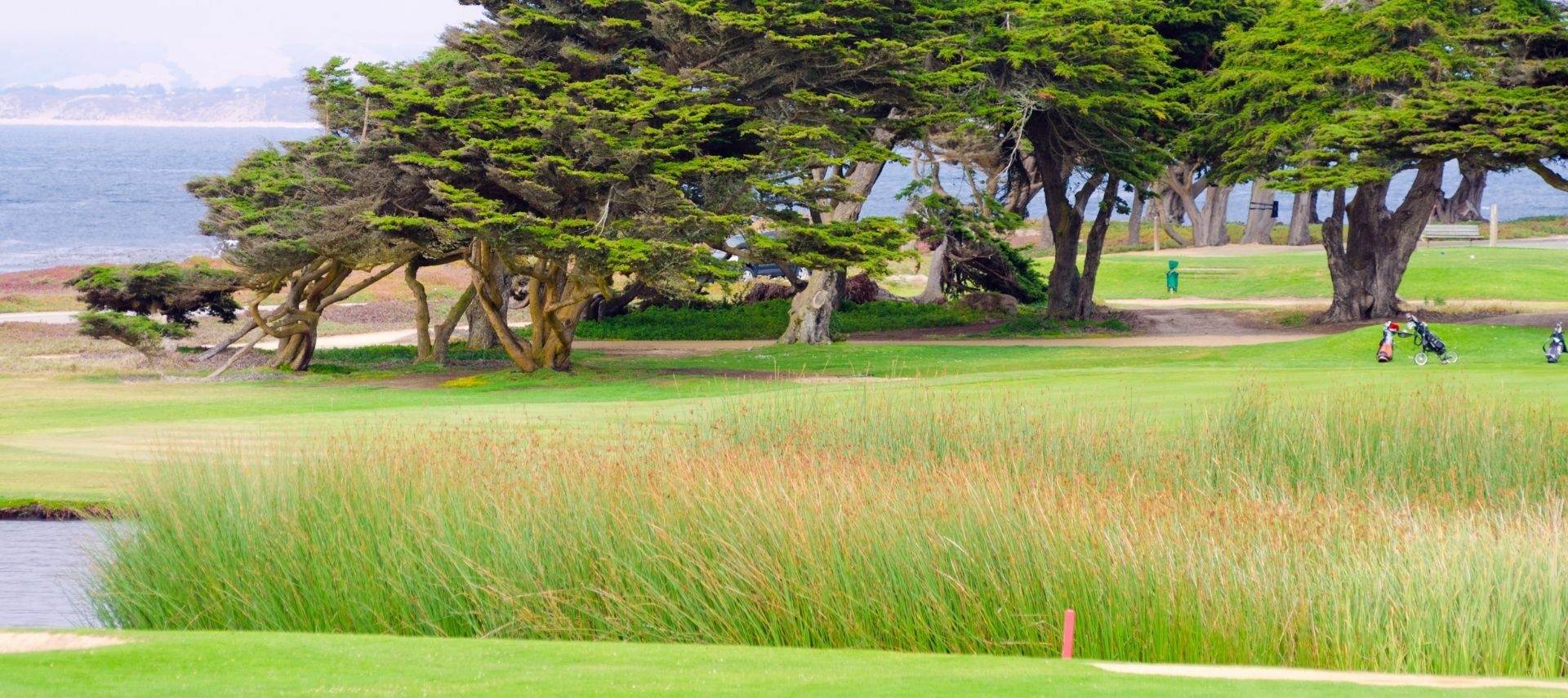 Golf course in Pacific Grove, CA
