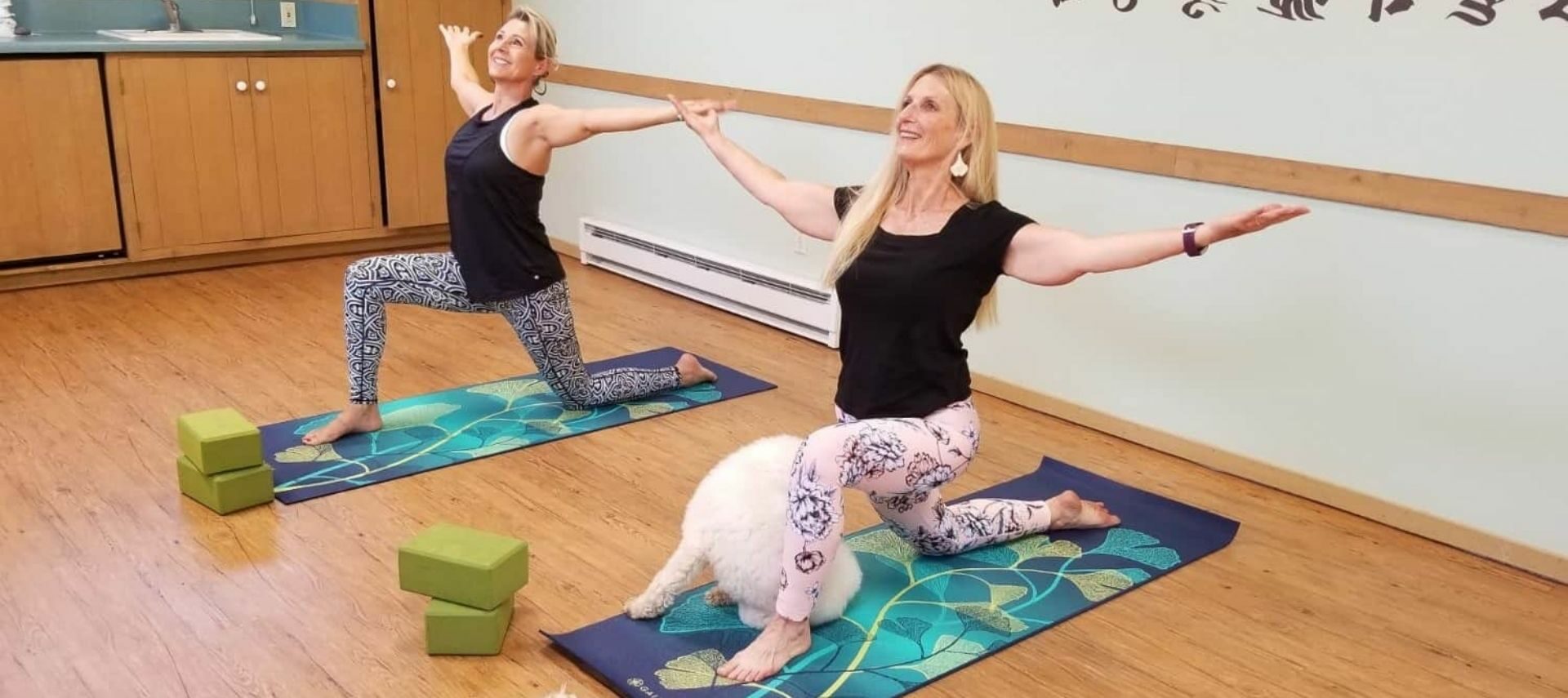 Two ladies in a yoga studio doing yoga poses on multicolored yoga mats with two white fluffy dogs nearby